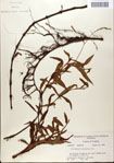 000045179-thumbnail.jpg
