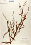 000045180-thumbnail.jpg