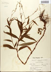 000045182-thumbnail.jpg