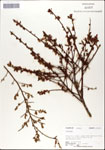 000046174-thumbnail.jpg