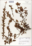000046177-thumbnail.jpg