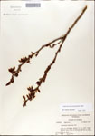 000046182-thumbnail.jpg