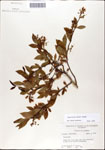 000046188-thumbnail.jpg
