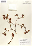 000046192-thumbnail.jpg