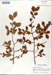 000046193-thumbnail.jpg