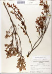 000046217-thumbnail.jpg