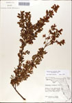 000046240-thumbnail.jpg