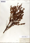 000046255-thumbnail.jpg