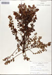 000046267-thumbnail.jpg