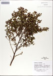 000046268-thumbnail.jpg