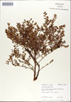 000046269-thumbnail.jpg