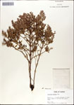 000046281-thumbnail.jpg