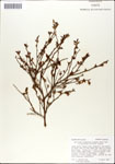 000046288-thumbnail.jpg