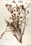 000046291-thumbnail.jpg