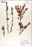 000046300-thumbnail.jpg