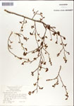 000046307-thumbnail.jpg