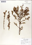000046308-thumbnail.jpg