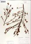 000046310-thumbnail.jpg