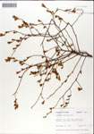 000046311-thumbnail.jpg