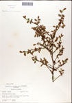 000046313-thumbnail.jpg