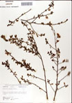 000046315-thumbnail.jpg