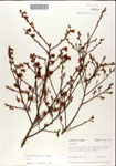 000046316-thumbnail.jpg