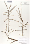 000046317-thumbnail.jpg