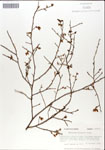 000046318-thumbnail.jpg