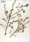 000046322-thumbnail.jpg