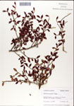 000046324-thumbnail.jpg