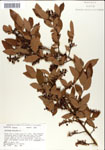 000046328-thumbnail.jpg