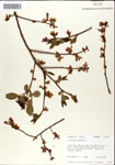 000046333-thumbnail.jpg