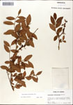 000046338-thumbnail.jpg