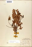 000046340-thumbnail.jpg