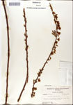 000046341-thumbnail.jpg