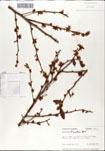 000046345-thumbnail.jpg