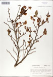 000046346-thumbnail.jpg