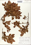 000046348-thumbnail.jpg