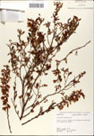 000046349-thumbnail.jpg