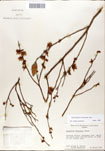000046350-thumbnail.jpg