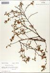 000046355-thumbnail.jpg
