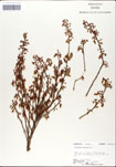 000046359-thumbnail.jpg