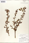 000046363-thumbnail.jpg