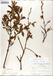 000046364-thumbnail.jpg
