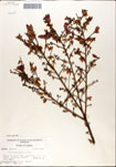 000046367-thumbnail.jpg