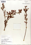 000046371-thumbnail.jpg