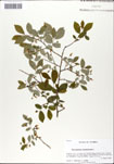000046374-thumbnail.jpg