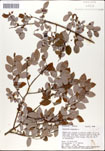 000046472-thumbnail.jpg
