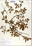 000046626-thumbnail.jpg
