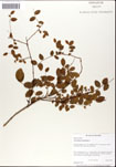 000046643-thumbnail.jpg